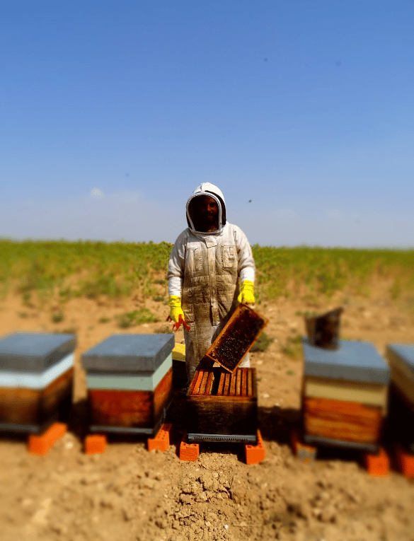 Añadir un subtítulo (5)